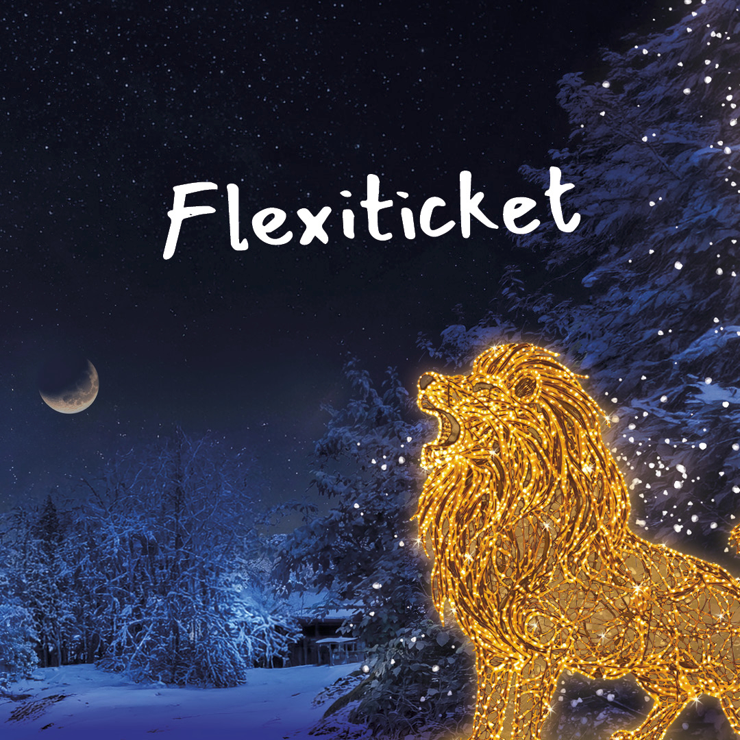 Flexiticket