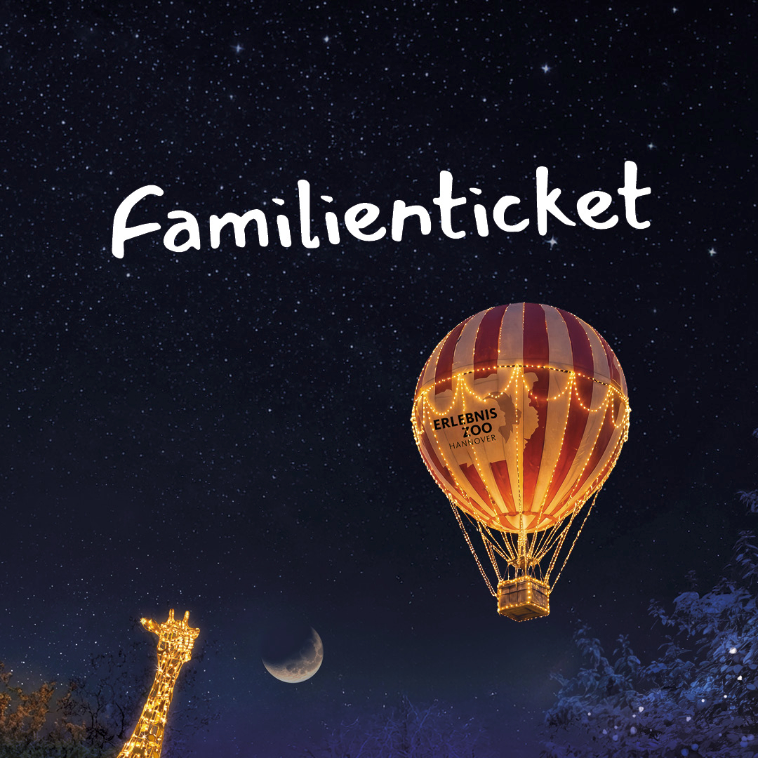 Familienticket