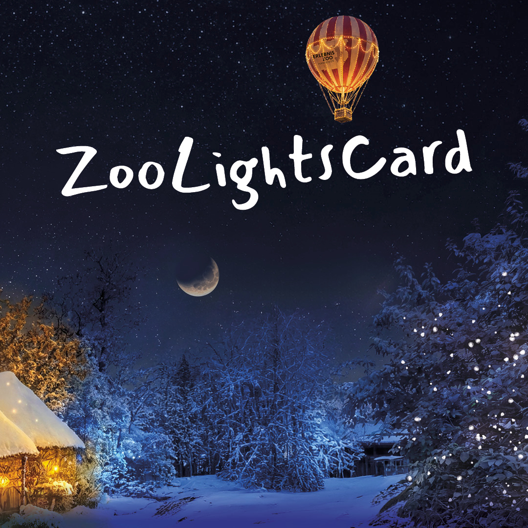 ZooLightsCard