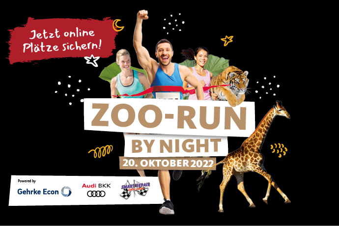 Zoo-Run by night 2022