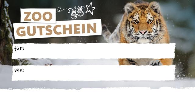 Sibirischer Tiger im Schnee